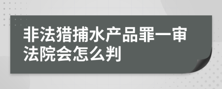 非法猎捕水产品罪一审法院会怎么判