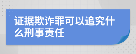 证据欺诈罪可以追究什么刑事责任