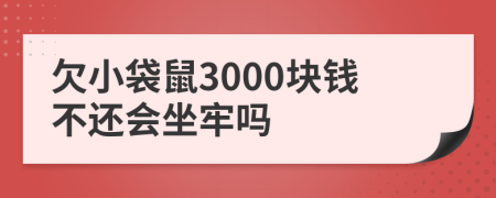 欠小袋鼠3000块钱不还会坐牢吗