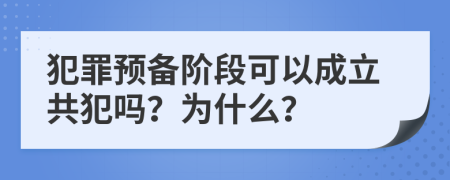 犯罪预备阶段可以成立共犯吗？为什么？