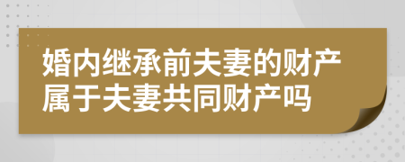 婚内继承前夫妻的财产属于夫妻共同财产吗