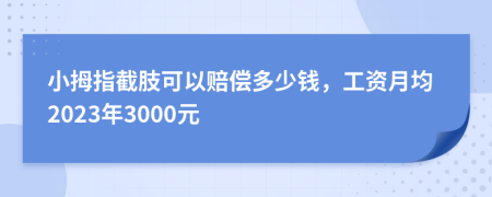 小拇指截肢可以赔偿多少钱，工资月均2023年3000元