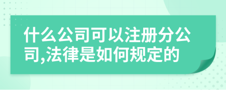 什么公司可以注册分公司,法律是如何规定的