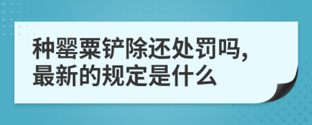 种罂粟铲除还处罚吗,最新的规定是什么