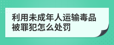 利用未成年人运输毒品被罪犯怎么处罚