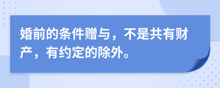 婚前的条件赠与，不是共有财产，有约定的除外。