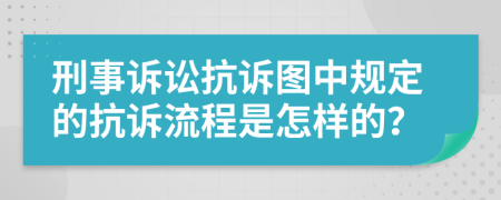 刑事诉讼抗诉图中规定的抗诉流程是怎样的？