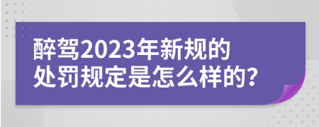 醉驾2023年新规的处罚规定是怎么样的？