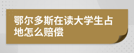 鄂尔多斯在读大学生占地怎么赔偿
