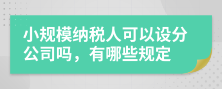 小规模纳税人可以设分公司吗，有哪些规定