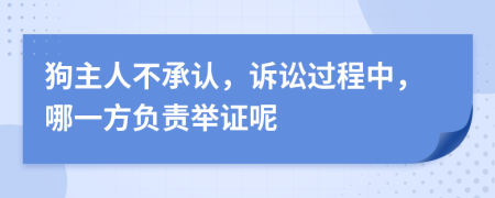 狗主人不承认，诉讼过程中，哪一方负责举证呢