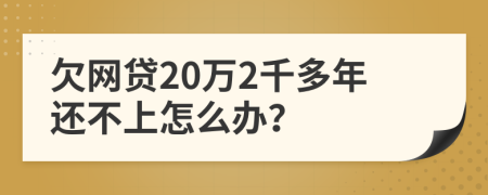 欠网贷20万2千多年还不上怎么办？