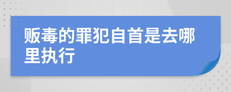 贩毒的罪犯自首是去哪里执行