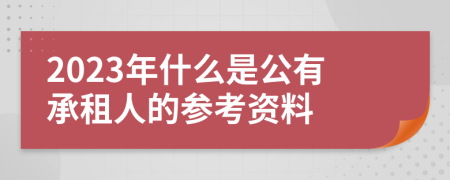 2023年什么是公有承租人的参考资料