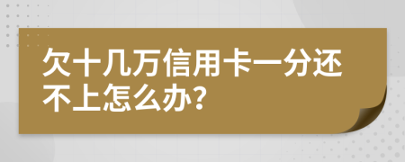 欠十几万信用卡一分还不上怎么办？