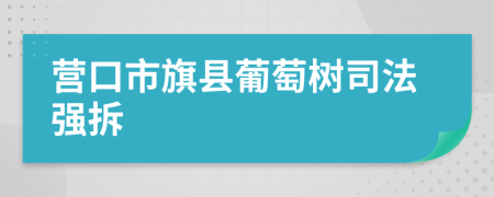 营口市旗县葡萄树司法强拆