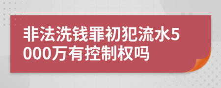 非法洗钱罪初犯流水5000万有控制权吗