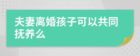 夫妻离婚孩子可以共同抚养么