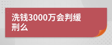 洗钱3000万会判缓刑么