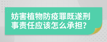 妨害植物防疫罪既遂刑事责任应该怎么承担？