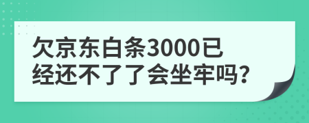 欠京东白条3000已经还不了了会坐牢吗？