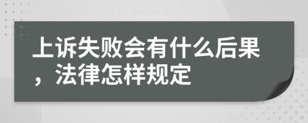 上诉失败会有什么后果，法律怎样规定