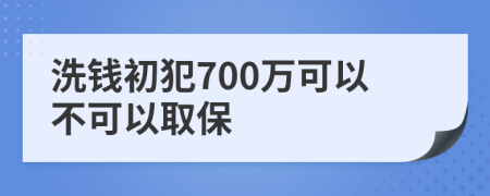 洗钱初犯700万可以不可以取保