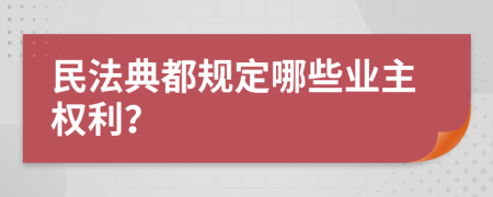 民法典都规定哪些业主权利？