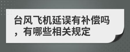 台风飞机延误有补偿吗，有哪些相关规定