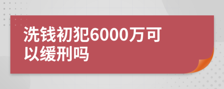 洗钱初犯6000万可以缓刑吗