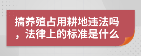 搞养殖占用耕地违法吗，法律上的标准是什么