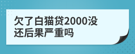 欠了白猫贷2000没还后果严重吗