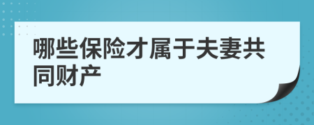 哪些保险才属于夫妻共同财产