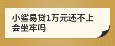 小鲨易贷1万元还不上会坐牢吗