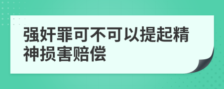 强奸罪可不可以提起精神损害赔偿