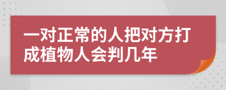 一对正常的人把对方打成植物人会判几年