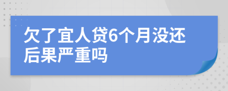 欠了宜人贷6个月没还后果严重吗