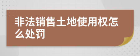 非法销售土地使用权怎么处罚