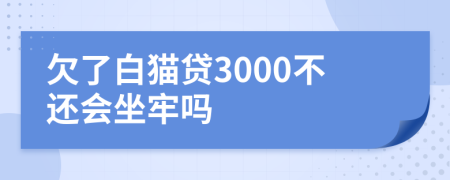 欠了白猫贷3000不还会坐牢吗