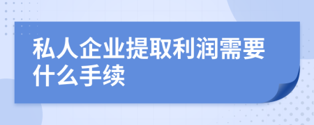 私人企业提取利润需要什么手续