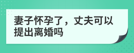 妻子怀孕了，丈夫可以提出离婚吗