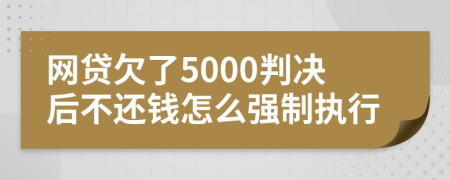 网贷欠了5000判决后不还钱怎么强制执行