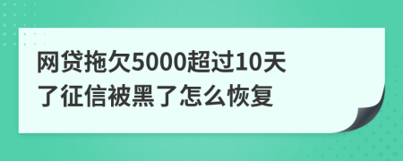 网贷拖欠5000超过10天了征信被黑了怎么恢复