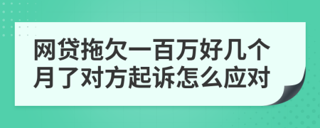 网贷拖欠一百万好几个月了对方起诉怎么应对