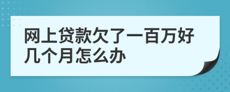 网上贷款欠了一百万好几个月怎么办