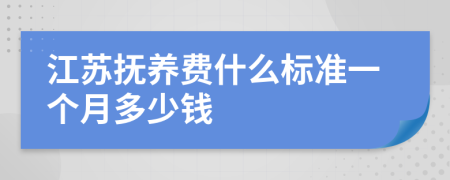 江苏抚养费什么标准一个月多少钱