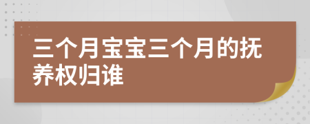 三个月宝宝三个月的抚养权归谁