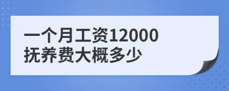 一个月工资12000抚养费大概多少