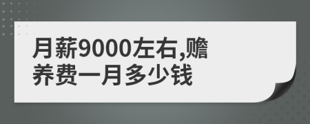 月薪9000左右,赡养费一月多少钱