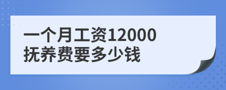 一个月工资12000抚养费要多少钱